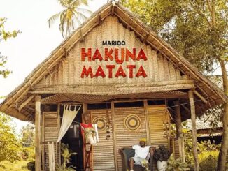 Download MP3: Marioo &#8211; Hakuna Matata Marioo Hakuna Matata 326x245