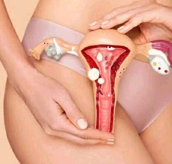 Do A Woman’s Private Part Get Looser After Having Too Much Sex.