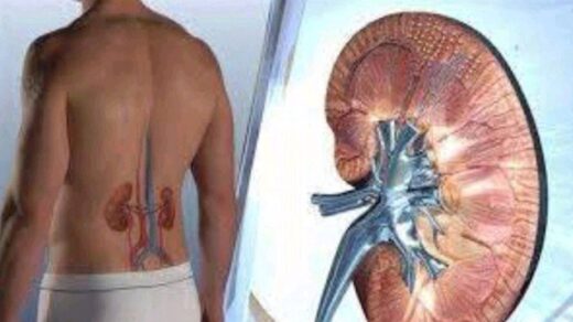 How To Cleanse Your Kidney In 5 Minutes Using This Natural Drink