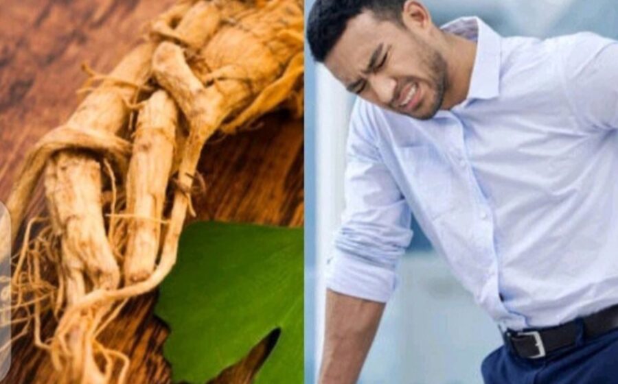 Herbs That Can Treat Weak Erections In Men